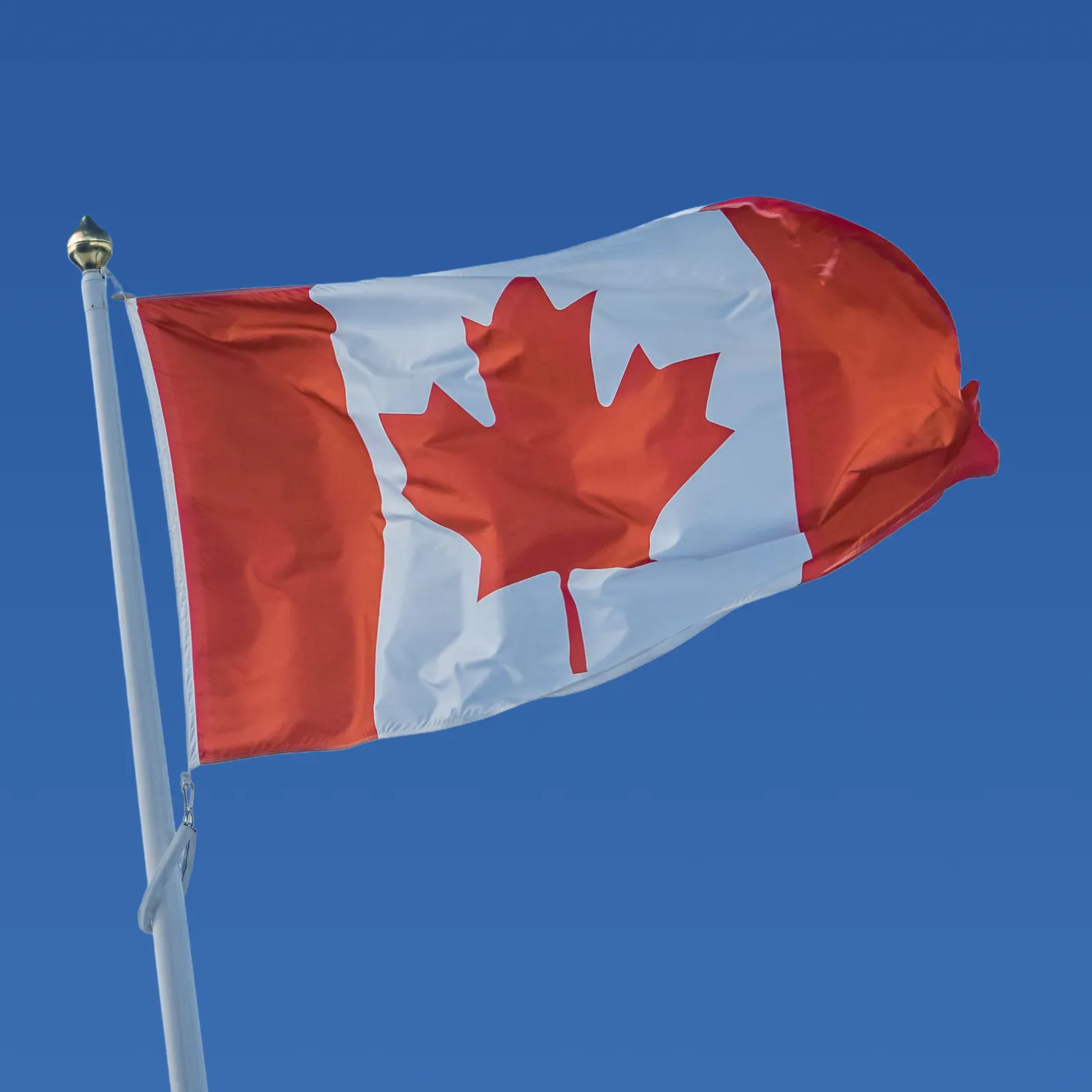 Google Ad Grant for Churches and Nonprofits: Step-by-Step Guide 2 Canadian Flag