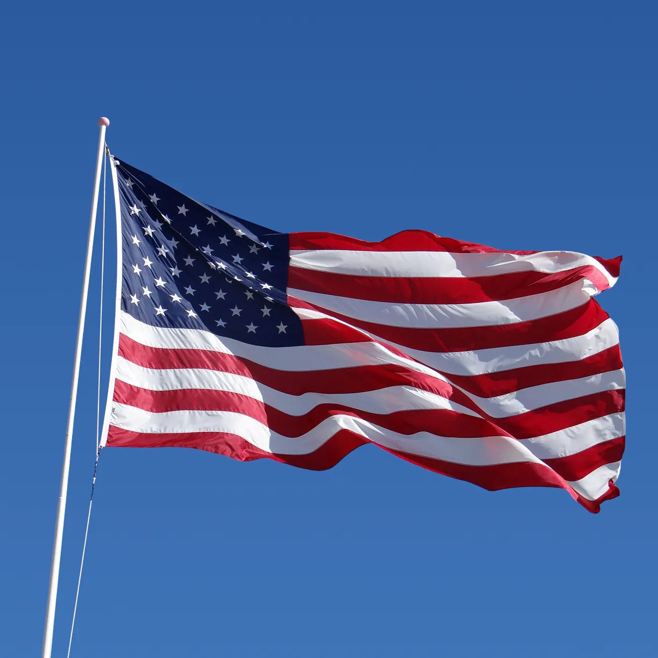 Google Ad Grant for Churches and Nonprofits: Step-by-Step Guide 3 U.S. Flag